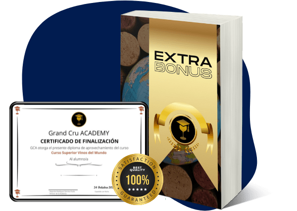 Curso Superior Vinos del Mundo curso vinos del mundo bonus extra600 × 426 px 4 min