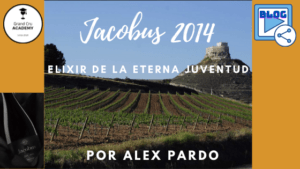 Blog GCA Jacobus