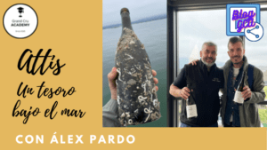 Blog GCA Blog Attis