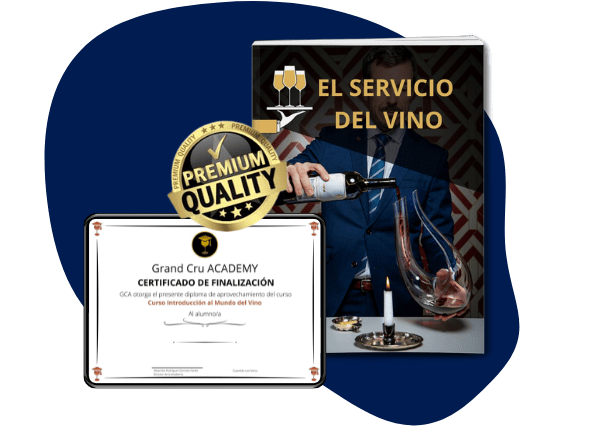 Curso Introducción al Mundo del Vino Beginner Curso de Introduccion diploma y el servicio del vino 600 × 426 px min