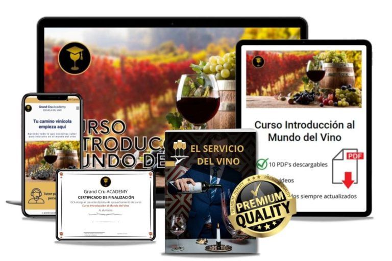 mockup introducción al mundo del vino