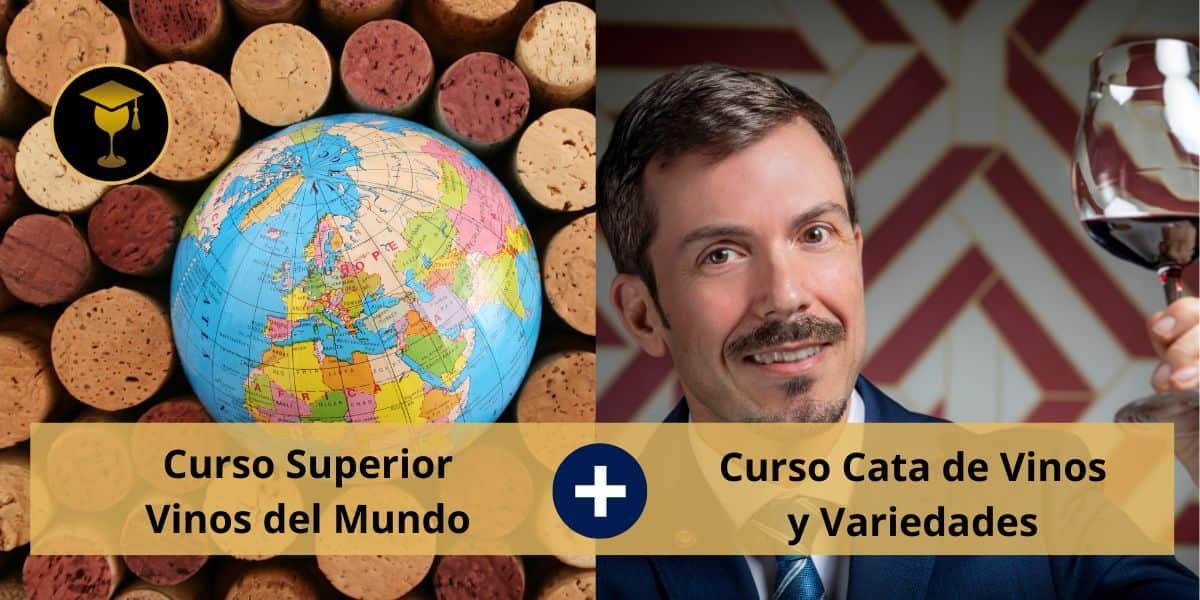 Curso Sommelier Profesional 8 pack Curso superior vinos del mundo