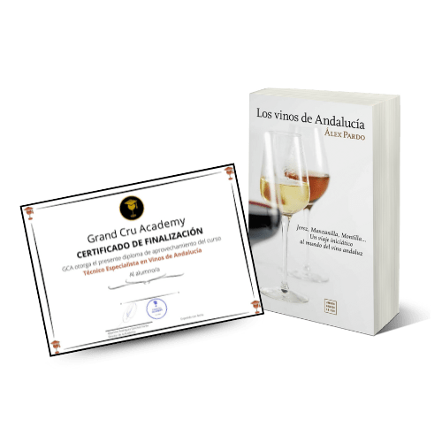 Curso Especialista Vinos Andalucía BONUS ANDALUCIA 1080 x 1080 px 500 x 500 px 2 min