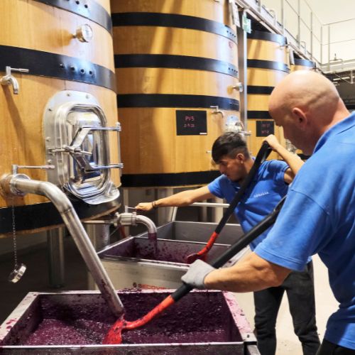 Curso Especialista Vinos Andalucía 3 Curso Especialista Vinos Andalucía elaboracion vino andaluz min